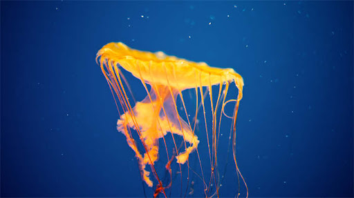 银河3d立体悬浮游戏